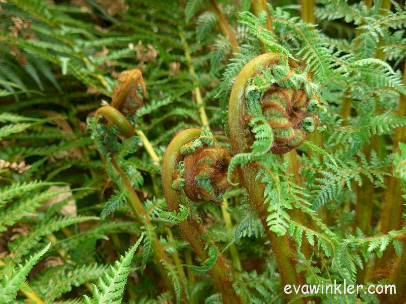 Vinaora Nivo Slider 3.x