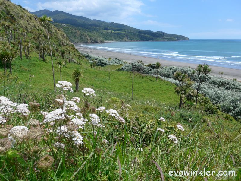 Vinaora Nivo Slider 3.x