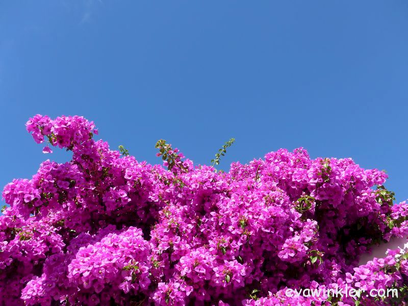 Vinaora Nivo Slider 3.x